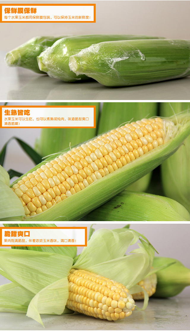 海南水果玉米5斤装