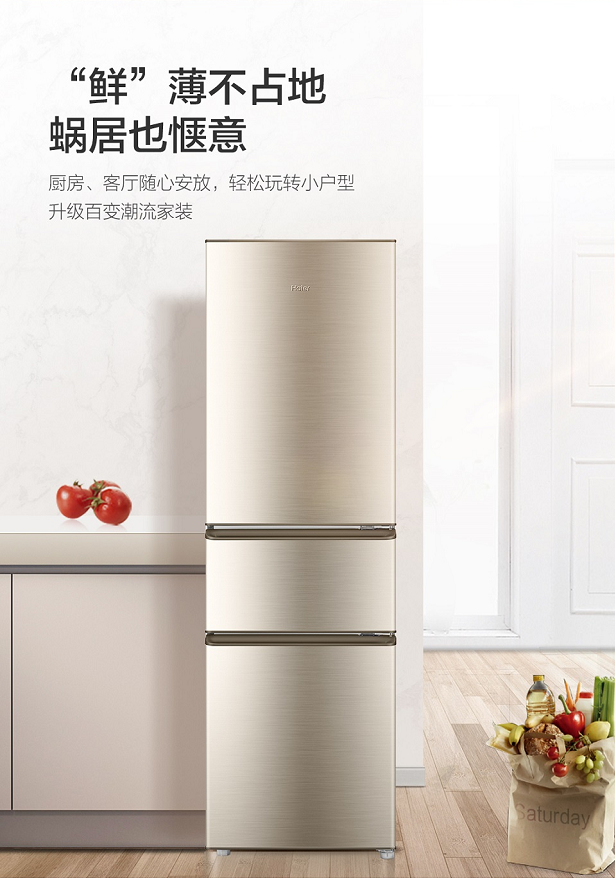 海尔冰箱bcd-218stps