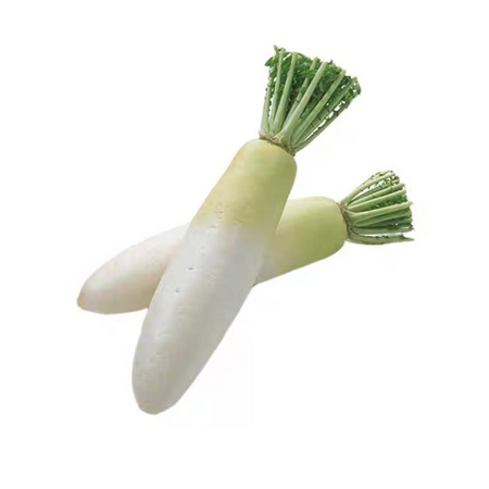 白萝卜约700g/个（±50g）